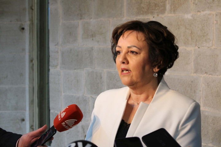 U Istri živi 40 tisuća radnih migranata – IDS predlaže cjelovitu politiku integracije